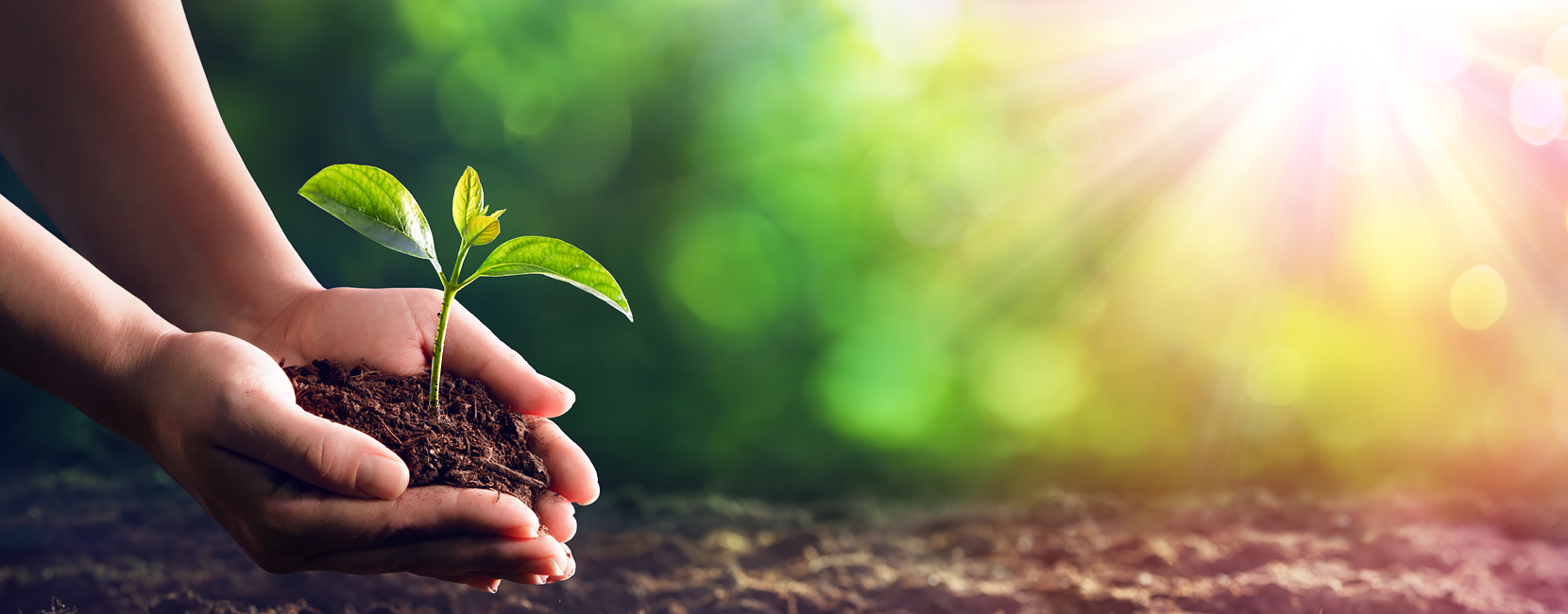 ׯ�к���Ϸ(�й�)�ɷ����޹�˾-����