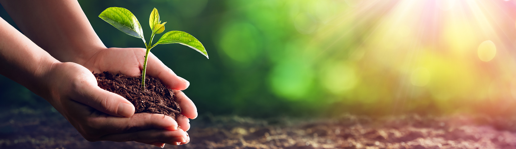 ׯ�к���Ϸ(�й�)�ɷ����޹�˾-����